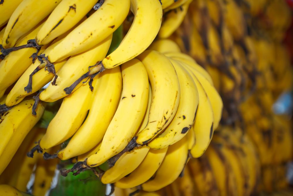 Fungi Could Wipe out Bananas in 5 to 10 Years