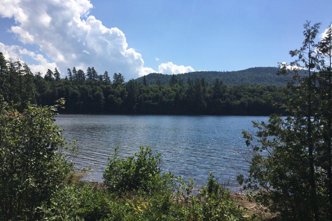 Judge Rules Indigenous Peoples Cannot Bypass Fisheries Act