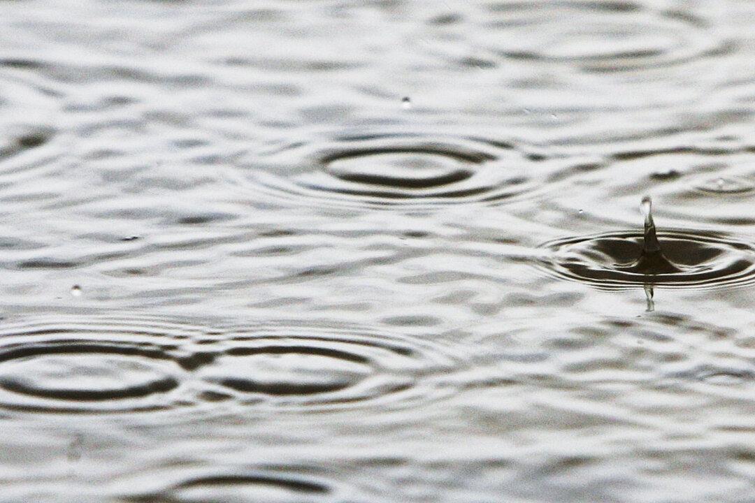 East Coast of Australia Facing Heavy Rains and Storms