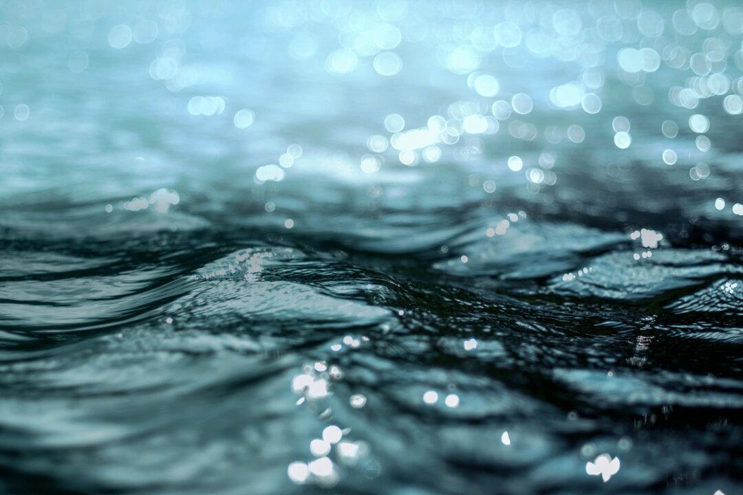 Why We Must Respect Water and the Balance of Nature