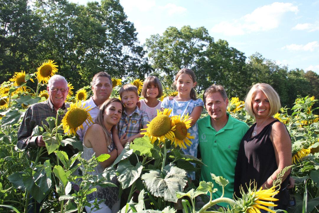 A Family’s Quest for a Healthier Oil Leads to Sunflowers