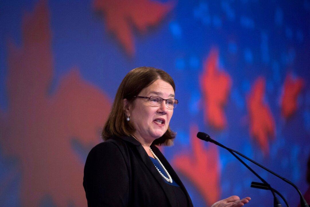Innovation, Not Just Money, Needed to Fix Health-Care System: Philpott