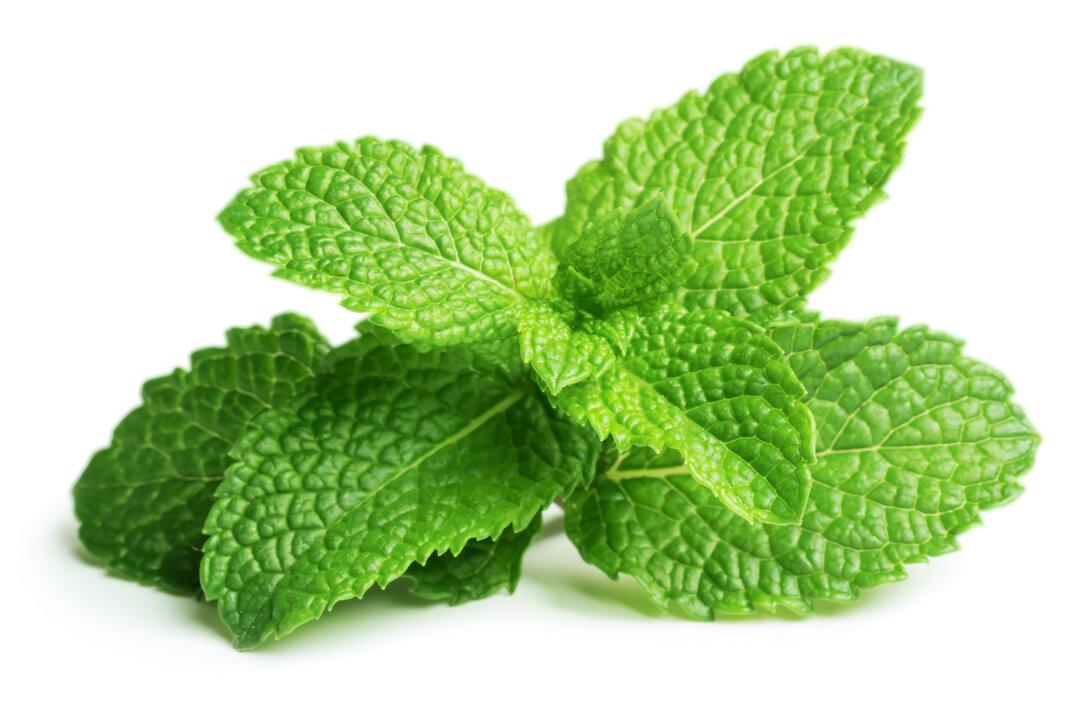 Chill Out and Soothe Pain with Mint