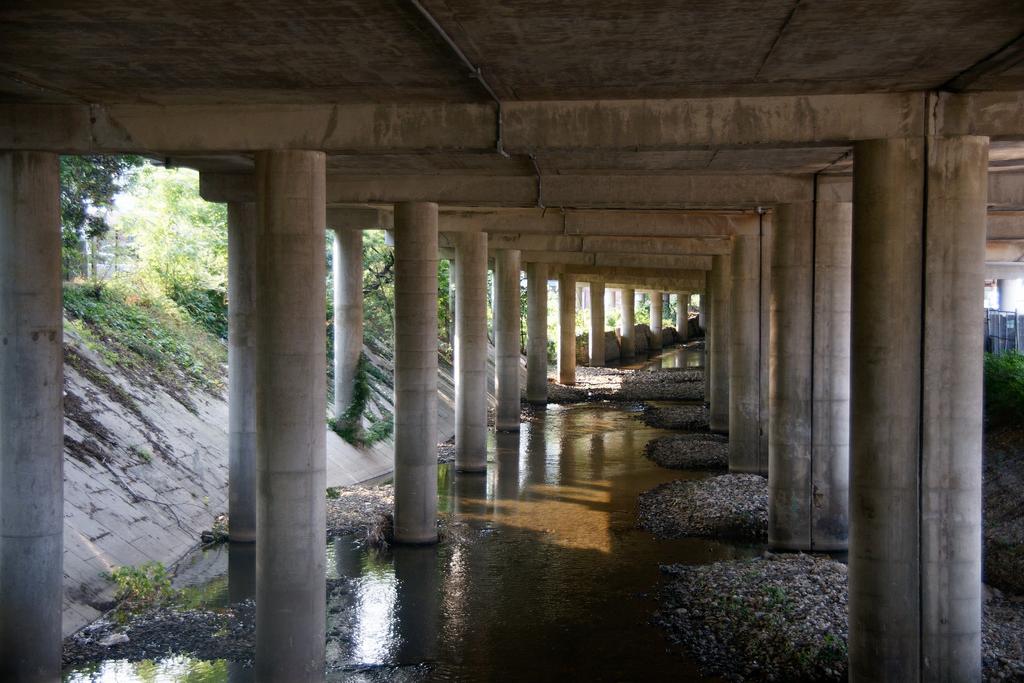 Baltimore’s Streams Are on Speed