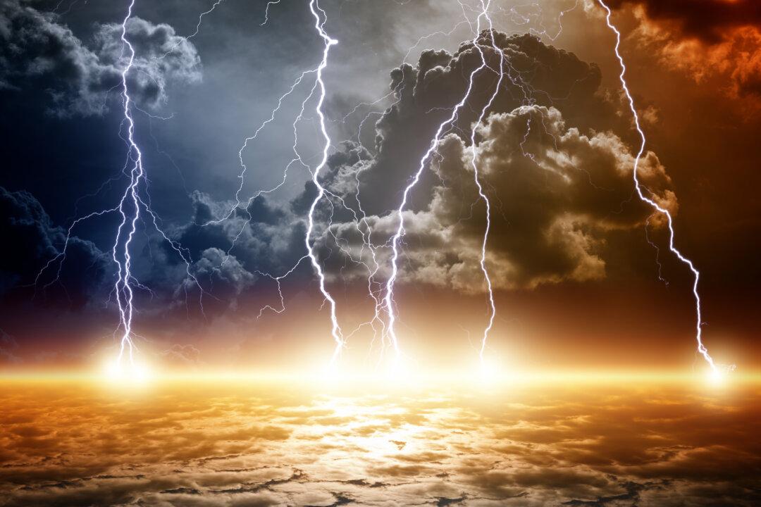 Thunder God Vine Treats Cancer and Joint Pain, but at a High Price