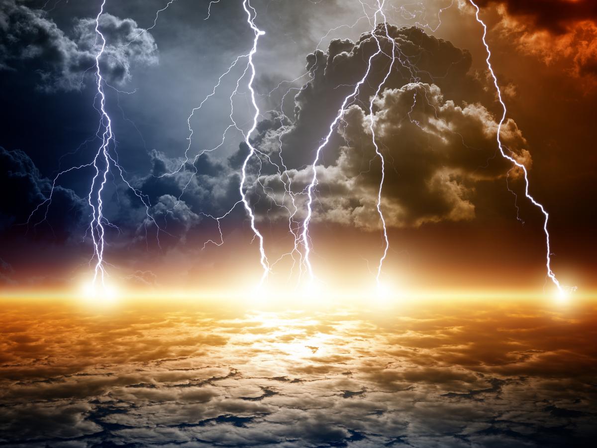 Thunder God Vine Treats Cancer and Joint Pain, but at a High Price