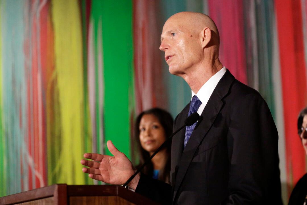 Miami’s Wynwood Cleared of Zika; Focus Shifts to Miami Beach