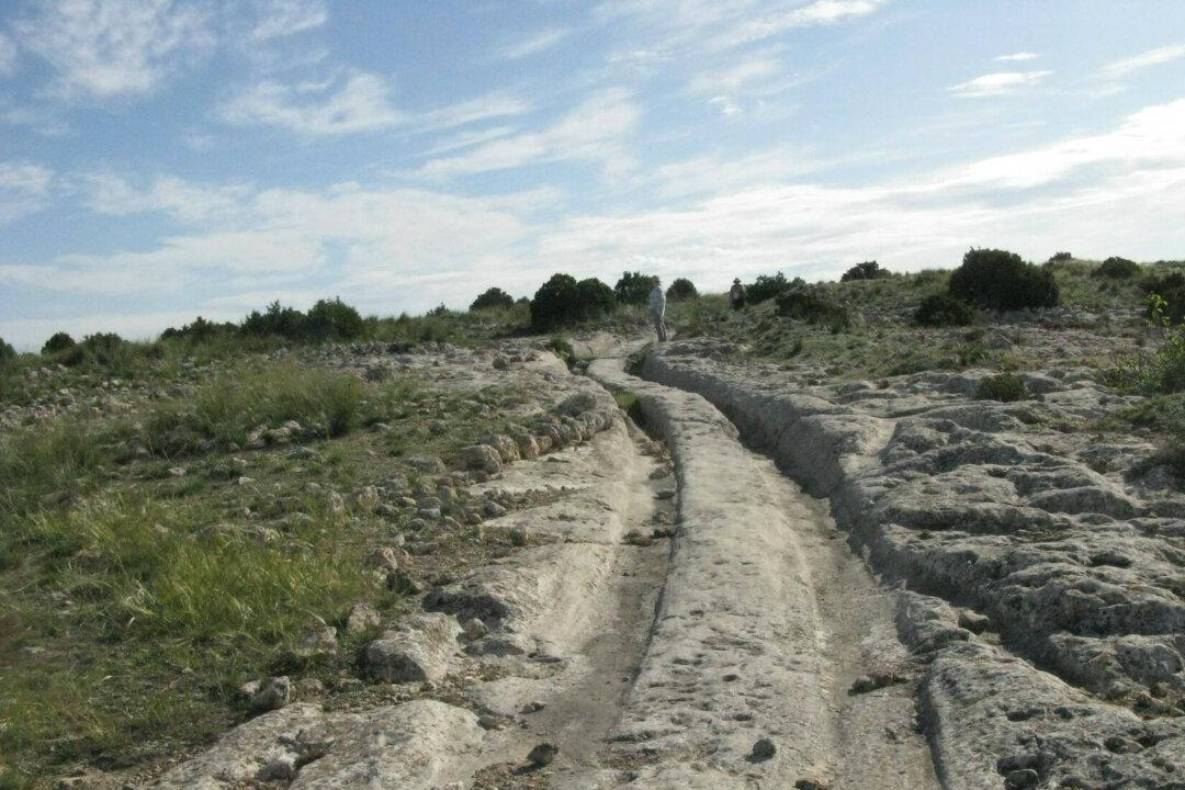 12 Million-Year-Old Vehicle Tracks Found in Stone, Claims Geologist