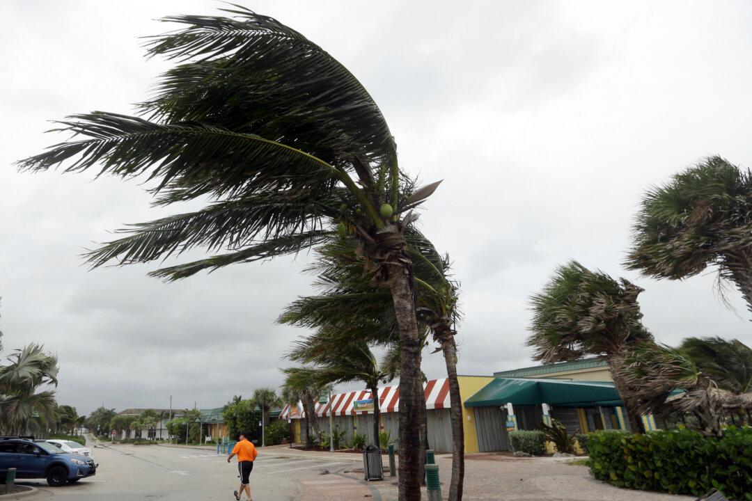 Hurricane Sideswipes Florida Coast