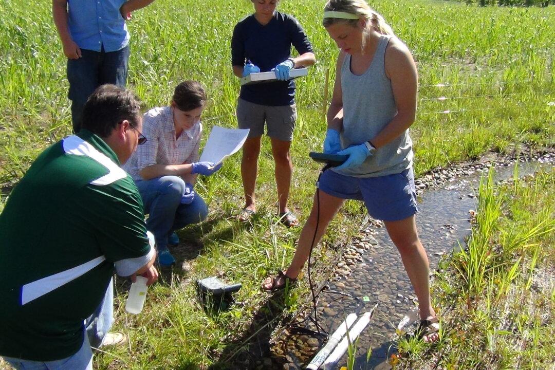 New Device Could Detect GMOs That Have Escaped Into Environment