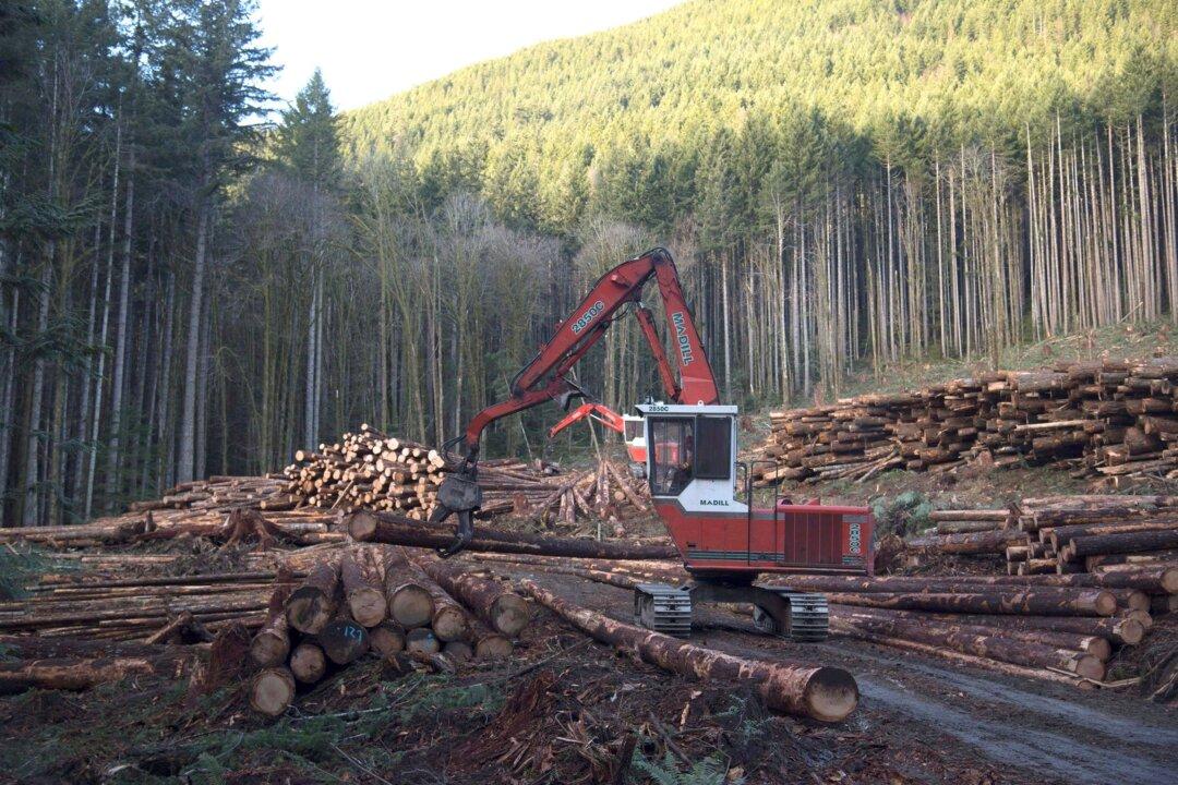 Canada and US to Keep Softwood Talks Going Despite Deadline Expiry