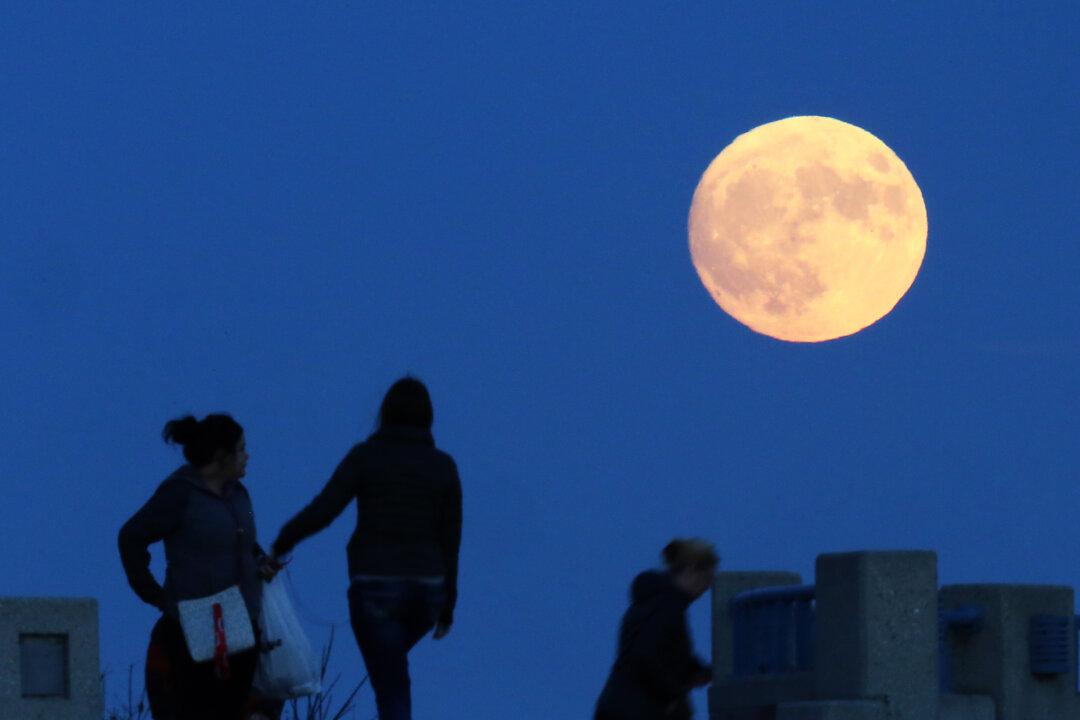 Brightest Moon in Almost 69 Years Lights Up Sky Around Globe