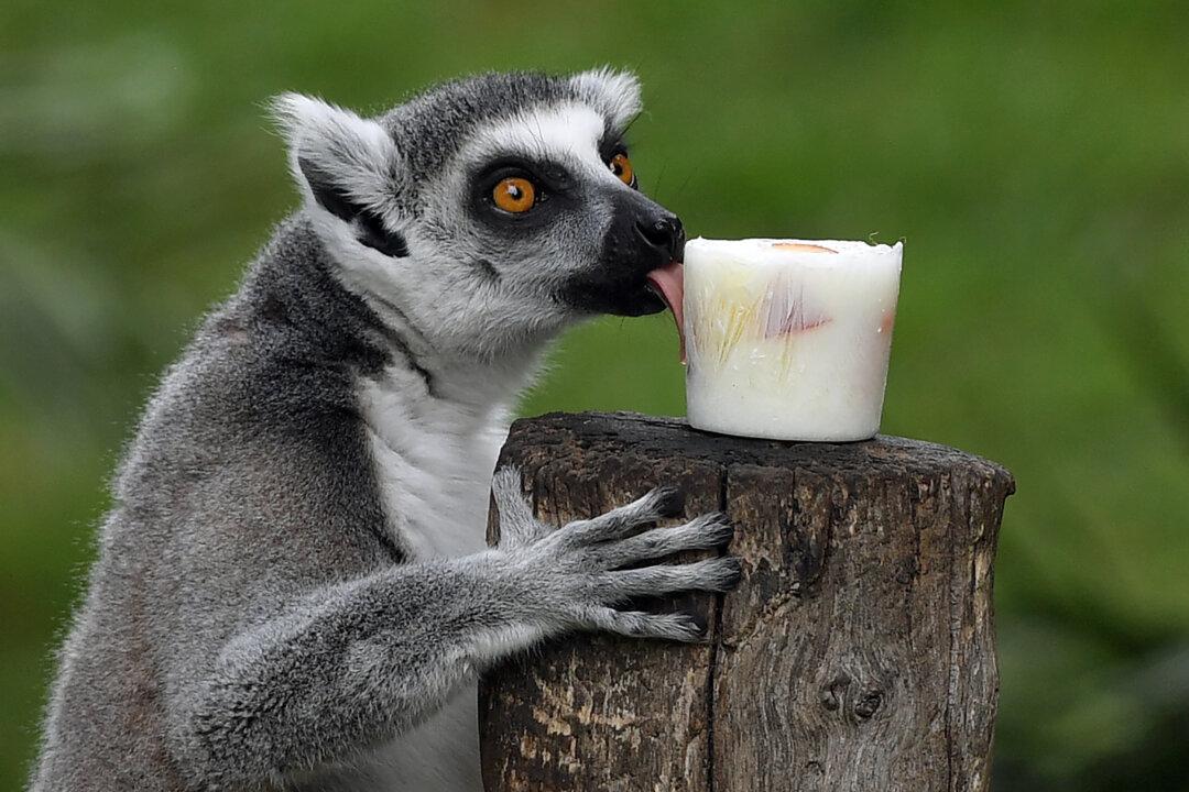 This Could Explain How Yogurt Protects Against Type 2 Diabetes