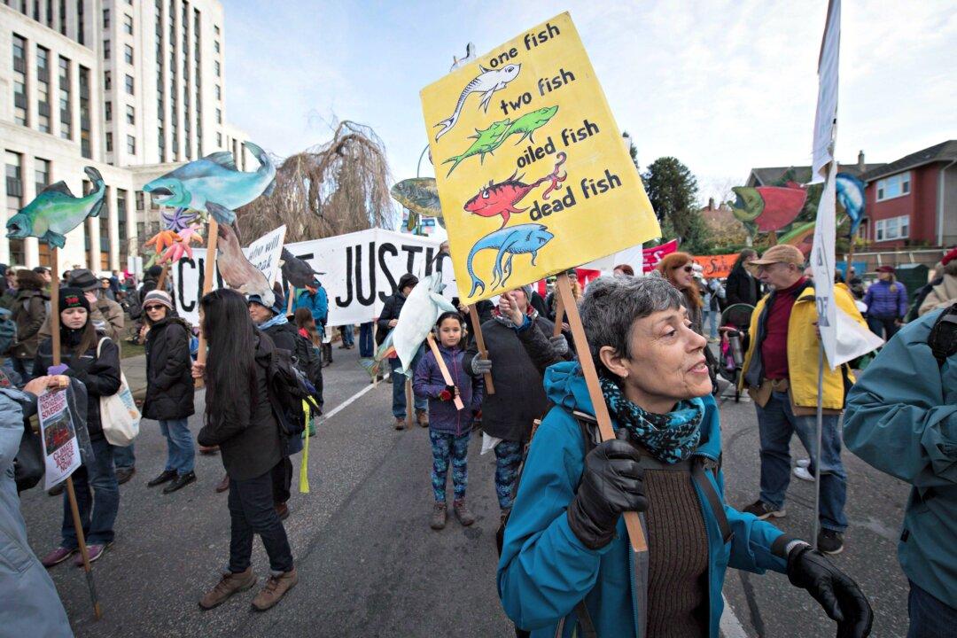 Trans Mountain Pipeline Approval Prompts Anger, Disappointment in BC