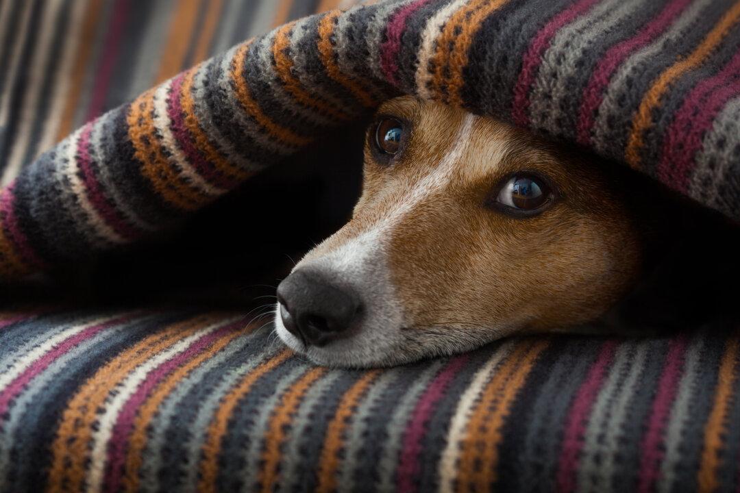 7 Cold Weather Items You’re Forgetting to Clean