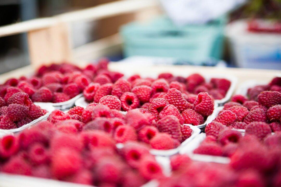 FDA Recalls Raspberries Across the US Over Possible Hepatitis A Contamination