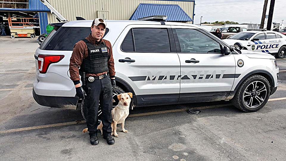 Shelter Dogs Become Police K-9s Under Texas Trainer