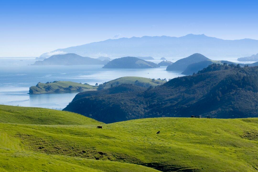 The Secret’s Out: New Zealand’s Favourite Holiday Spot