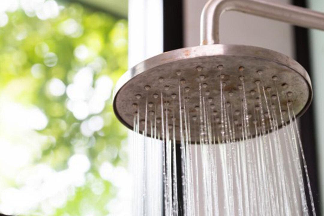 The Surprising Health Benefits of Hot and Cold Showers