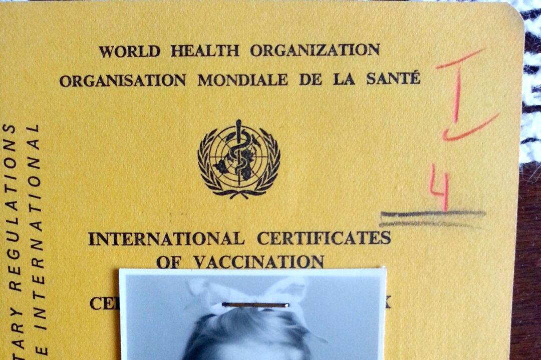 Communism and Culture: Another, Different Kind of Immigrant Experience