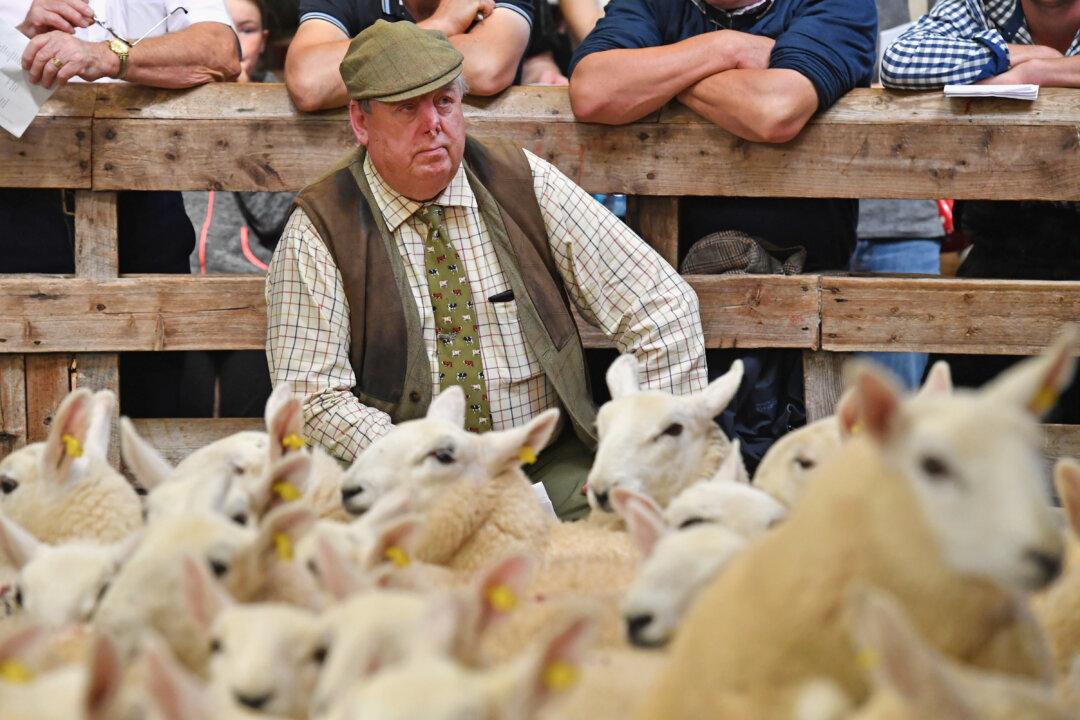 Brexit Trade Deals Could Change the British Landscape