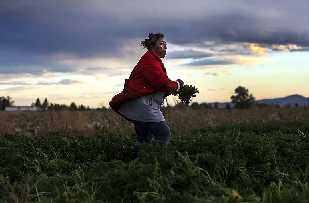 Immigration Economics