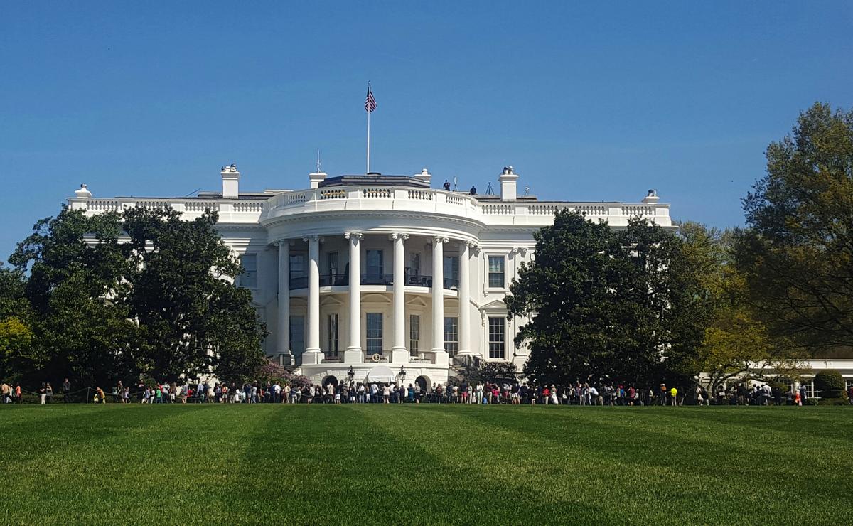 Mouse Drops From White House Ceiling Onto NBC Reporter, Press Forced to Scramble