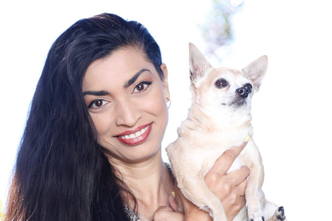 Stopping the Cycle of Abuse