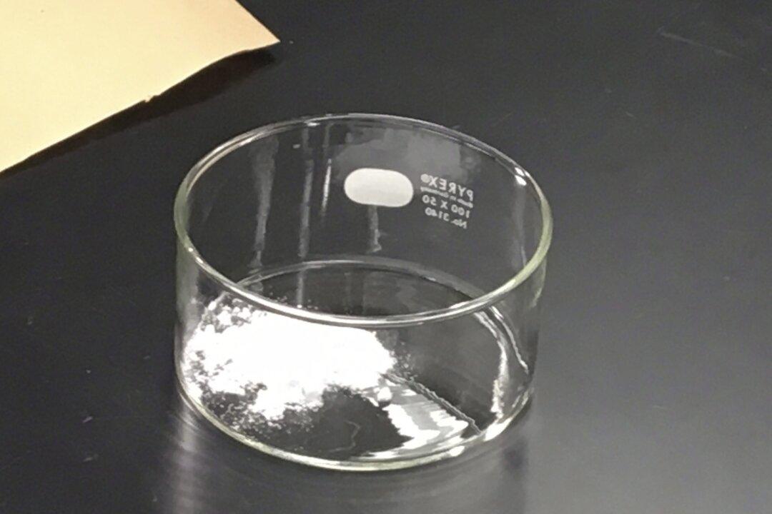 Stop China, Iran, and Terrorists From Weaponizing Carfentanil