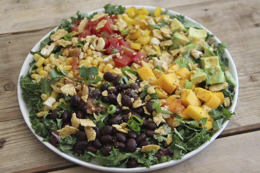 The Wildlife in Your Gut