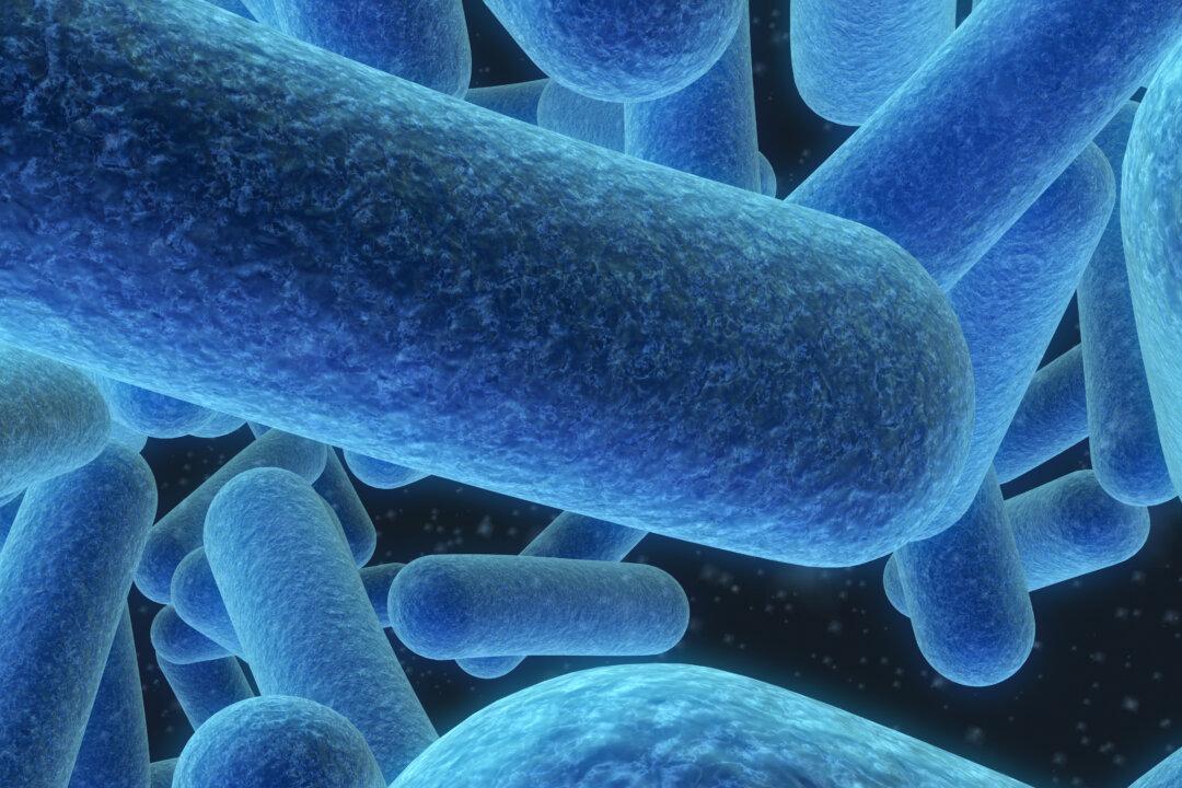 Microbiome: The Body’s Great Conductor
