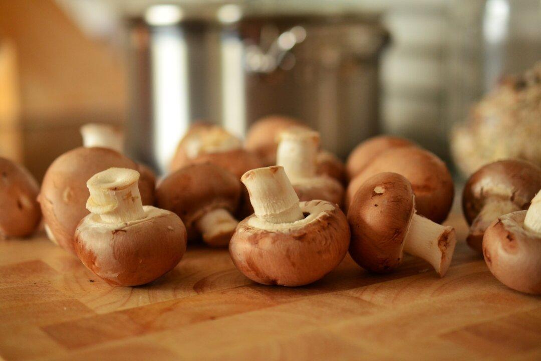 Could Mushrooms Be the Key to Improving Immunity?