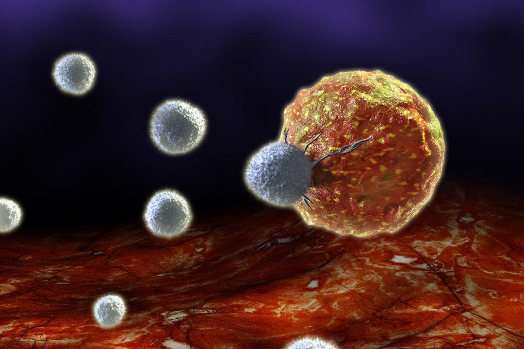 T Cells May Be Sufficient Protection Against COVID-19, New Study Suggests