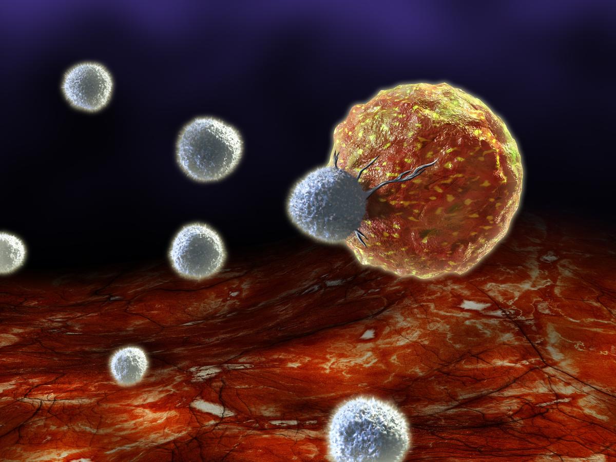 T Cells May Be Sufficient Protection Against COVID-19, New Study Suggests