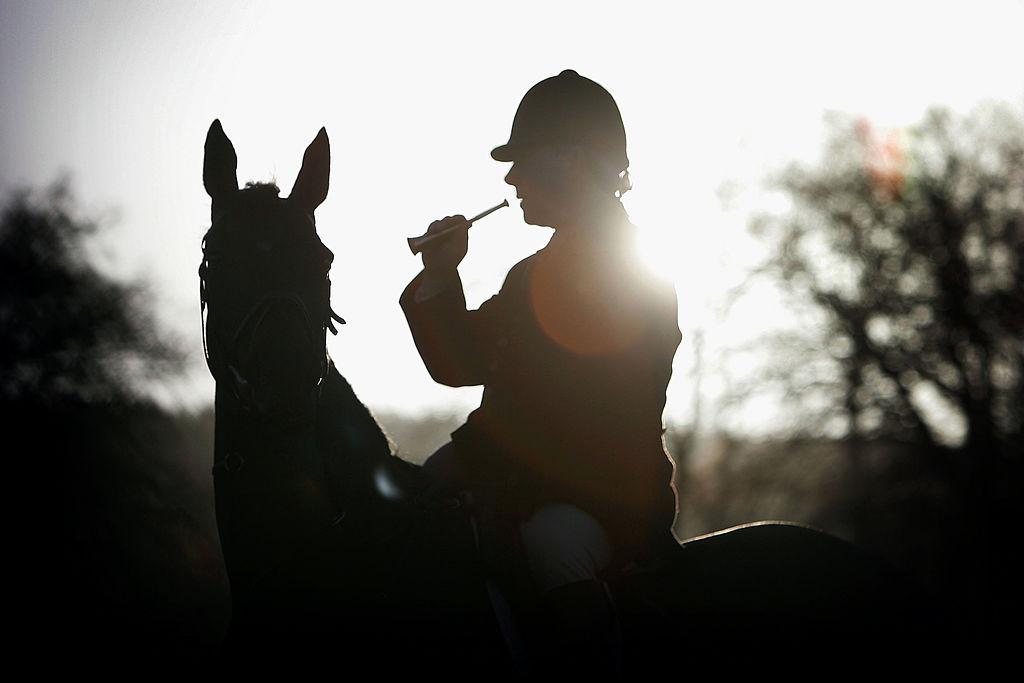 Britain’s Fox Law Jumps Into Election Campaign