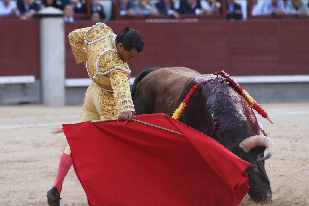 ‘Hurry Up, I’m Dying’: Final Words of Fatally Gored Matador Are Revealed