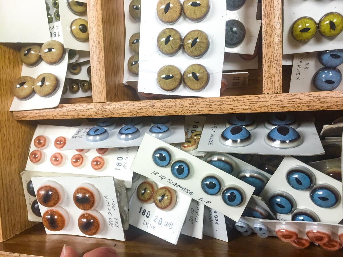 More Than Meets the Eye