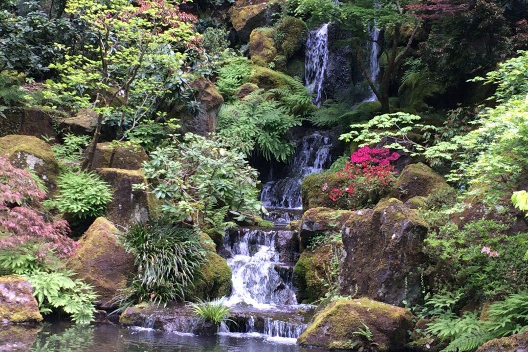 Savoring the Eclectic Neighborhoods of Portland and Beyond