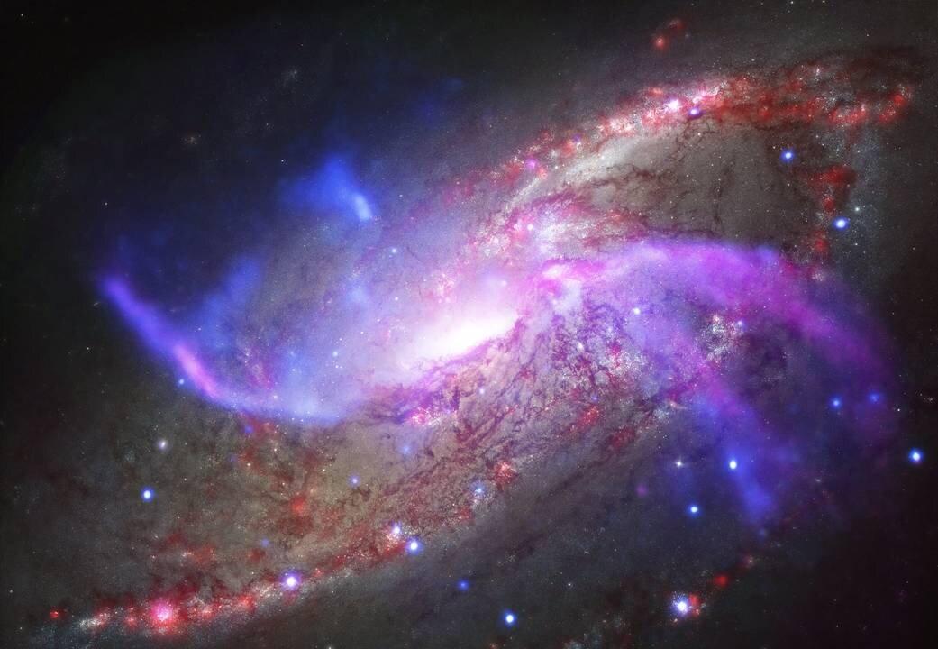 Atheist Neurologist Believed There Was Nothing After Death, Sees Vivid Scenes and Message During Cardiac Arrest