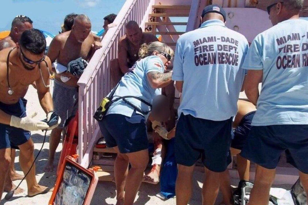 Shark Attack off South Florida Beach First in Decades