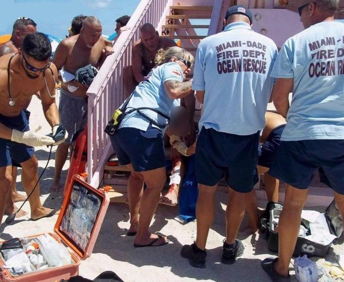 Shark Attack off South Florida Beach First in Decades