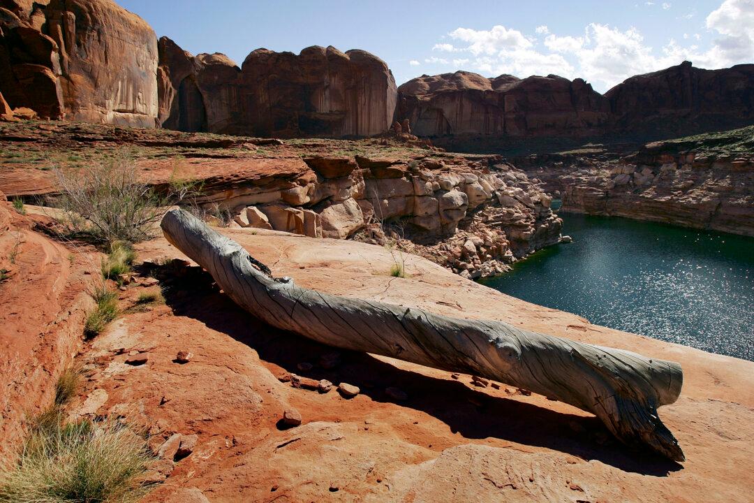 9 Dead, 1 Missing in Arizona Flash Flood