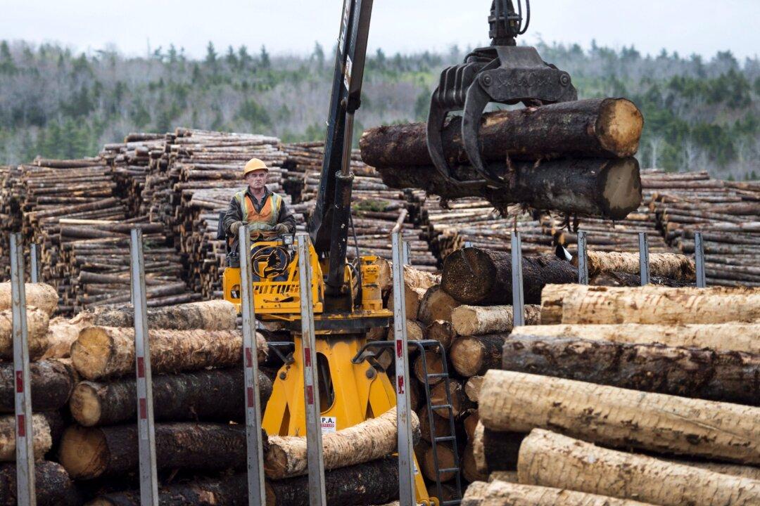 Gap in Softwood Lumber Dispute Appears to Be Narrowing: Tembec CEO