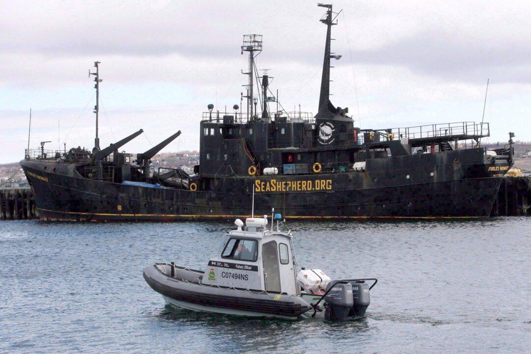 Not Enough Being Done to Deal With Abandoned Vessels on Canada’s Coasts, Says MP