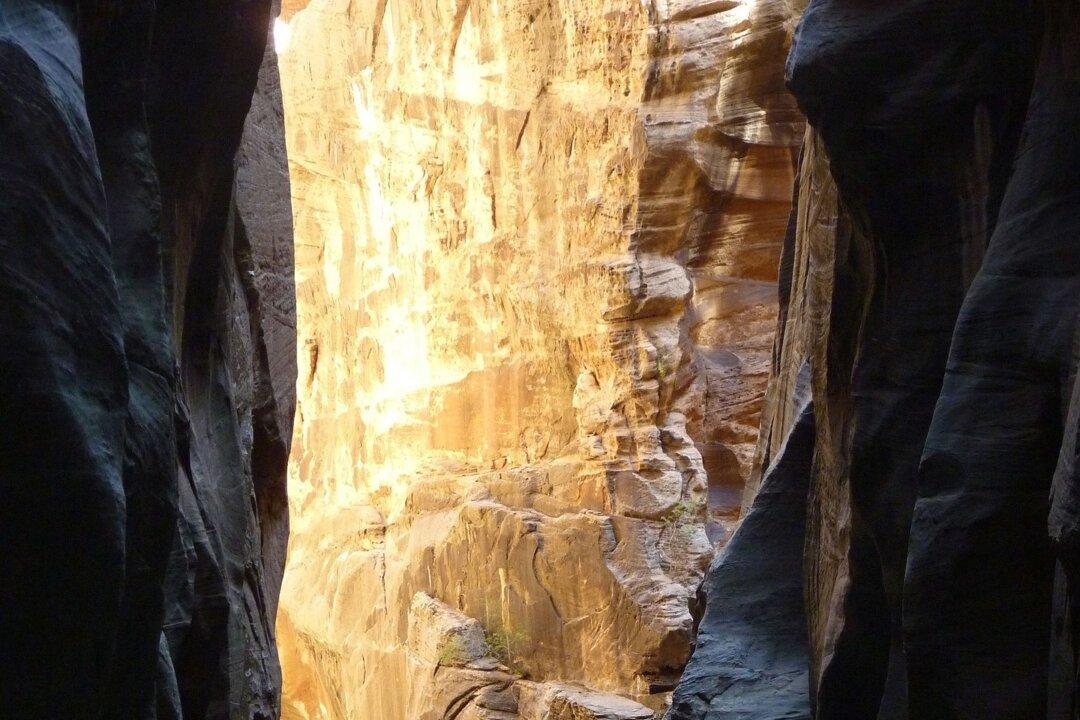 Child-Friendly Hiking Spots Worth Exploring