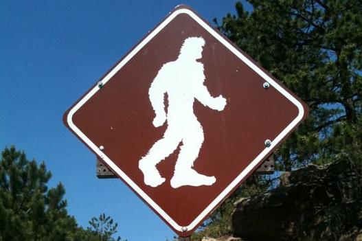 North Carolina Man Claims Face-to-Face Encounter With Big Hair Biped