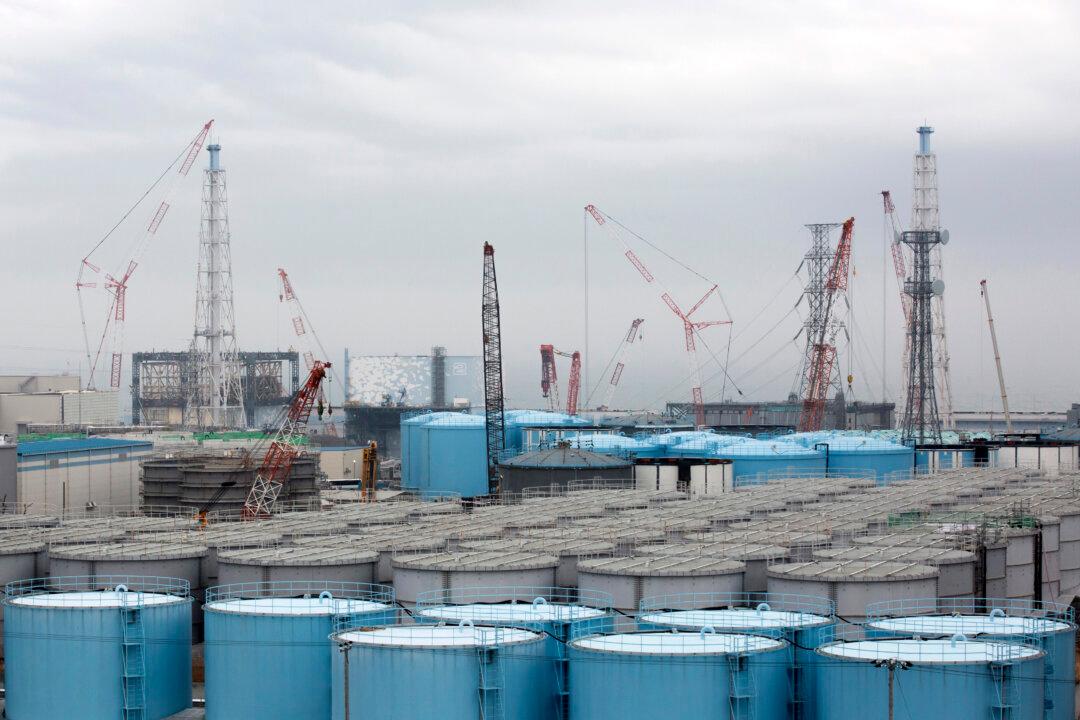 Unexploded WWII Bomb Found at Fukushima Nuclear Plant Site: Reports