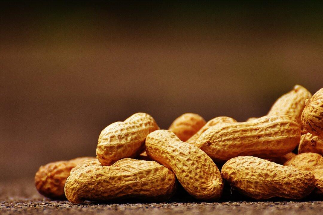 Nuts for Peanuts!