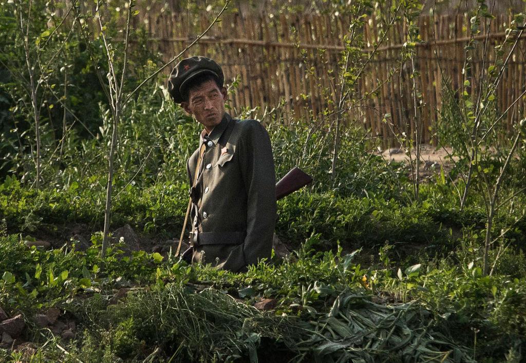 Starving North Korean Soldiers Ordered to Steal Unripened Corn From the Fields