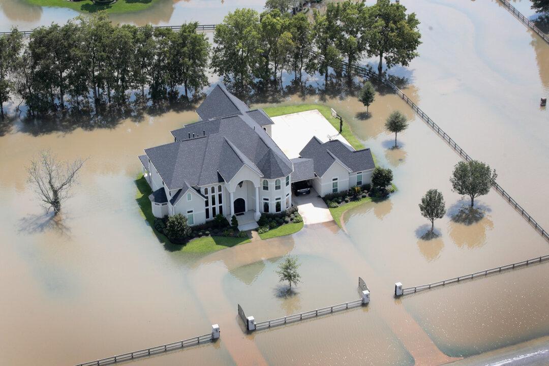 Texas Gets Fierce With Looters And Scammers